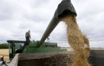 Ukraina: resort rolnictwa proponuje Polsce nowe memorandum o współpracy i wspólne zbadanie nadużyć