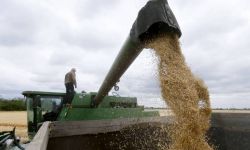 Ukraina: resort rolnictwa proponuje Polsce nowe memorandum o współpracy i wspólne zbadanie nadużyć