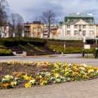 Rzeszów gotowy na wiosnę - sprzątanie i nasadzanie roślin