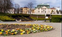 Rzeszów gotowy na wiosnę - sprzątanie i nasadzanie roślin