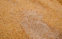 MSZ ukrainy: przekazaliśmy ambasadzie RP i przedstawicielstwu UE noty w związku z ograniczeniem importu produktów rolnych