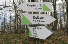 Bieszczady. Na Łopiennik nowym szlakiem z Cisnej