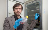 Naukowcy z Weryni w najwyższej lidze