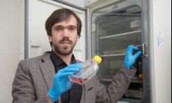 Naukowcy z Weryni w najwyższej lidze