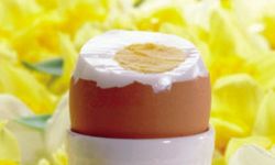 Grzechy dozwolone  na twoim stole. Jedz na zdrowie