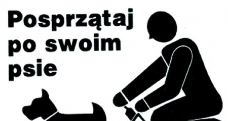 http://www.pomagamydzieciom.info/29890,1.dhtml