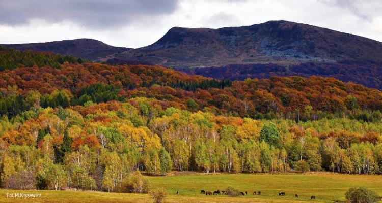 Bieszczady Timelapse szukają sponsora i każdy może nim zostać!