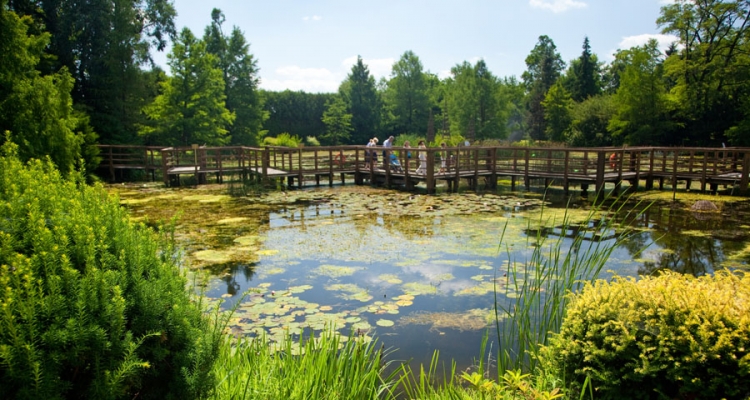 Arborertum w Bolestraszycach fot. T. Poźniak