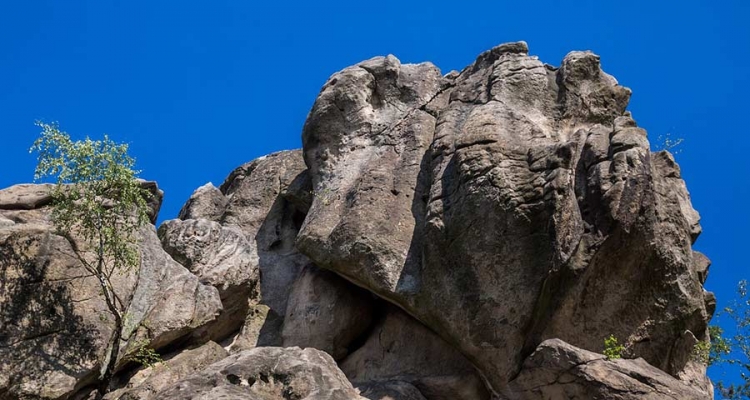 Fot. Tadeusz Poźniak