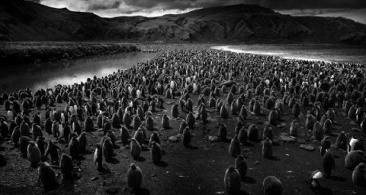 Fot. Muzeum Regionalne w Stalowej Woli