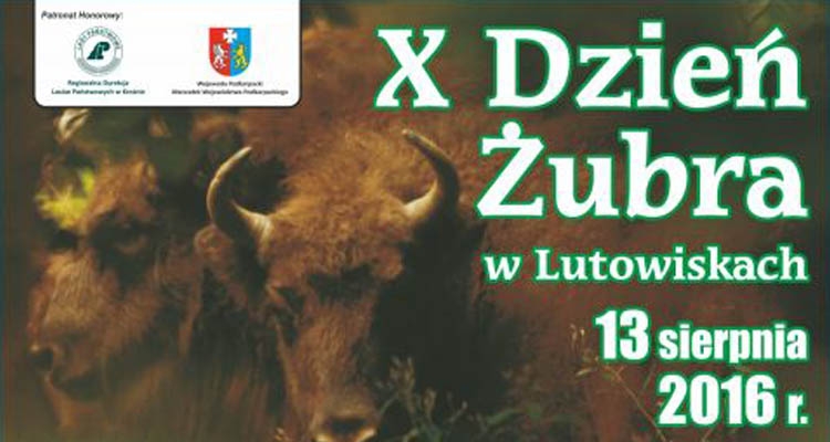 Fot. Archiwum GOK Lutowiska