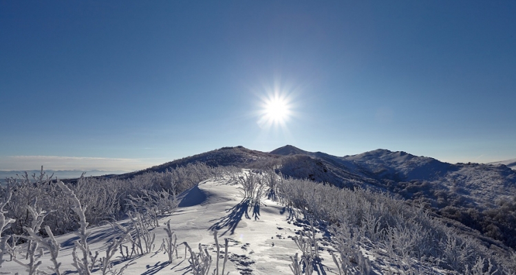 fot. Marcin Kłysewicz