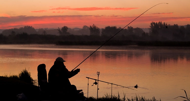 Fot. Tadeusz Poźniak