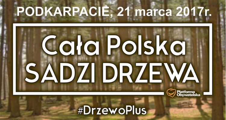 Fot. Materiały prasowe