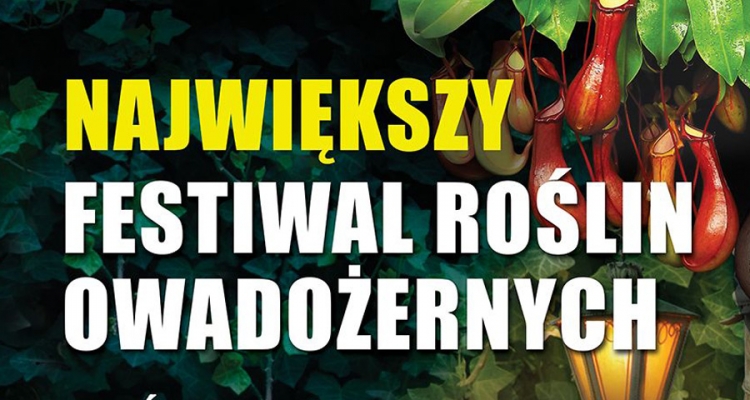 Fot. Materiały prasowe