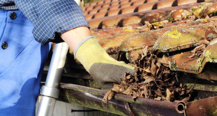 Oczyszczenie rynien to jedna z podstawowych prac porządkowych przed zimą. Fot. Galeco