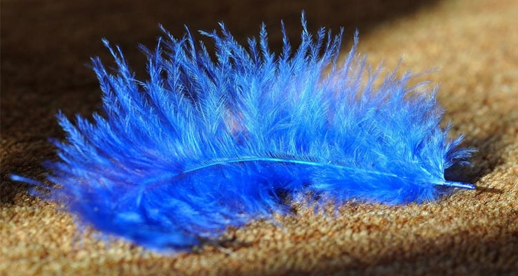 Wykładziny podłogowe - indywidualny styl dzięki wyjątkowym kolekcjom