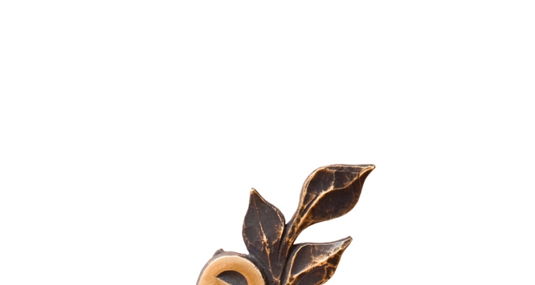 fot. T. Poźniak (autor: Maciej Syrek)